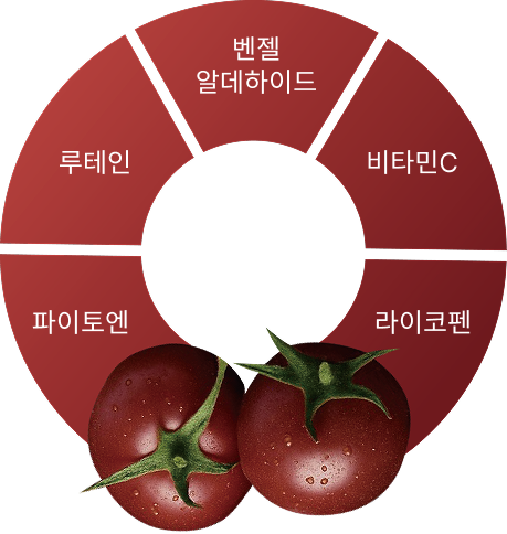 파이토엔, 루테인, 벤젤 알데하이드, 비타민C, 라이코펜