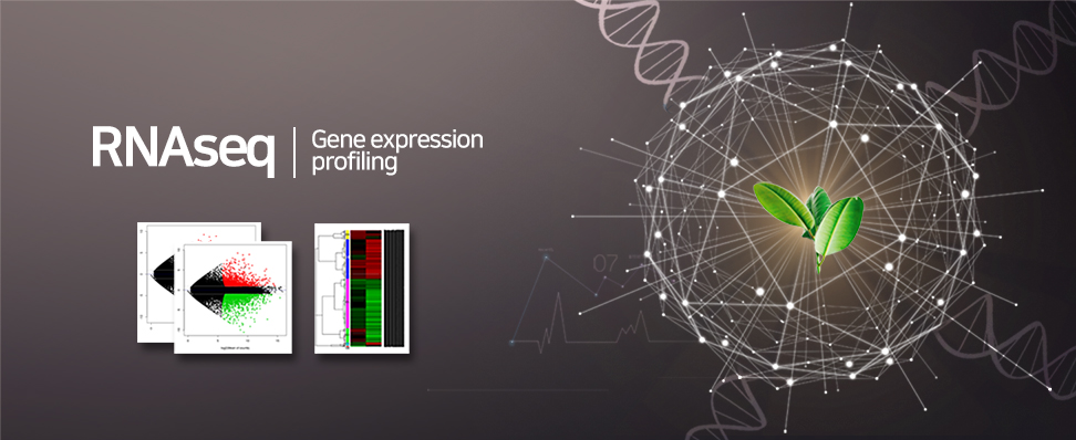 Gene Expression profiling